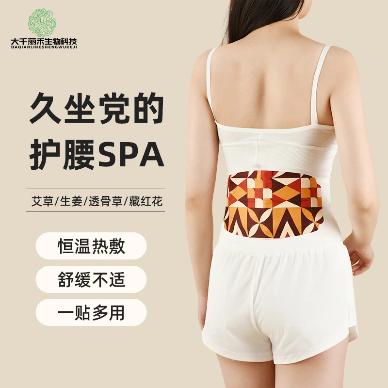 【贵妇同款】大千丽禾热敷腰腹贴暖腰缓解护腰5片/盒