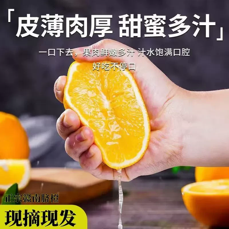 正宗赣南脐橙江西赣州橙子新鲜应季水果果园现摘橙甜脐橙整箱