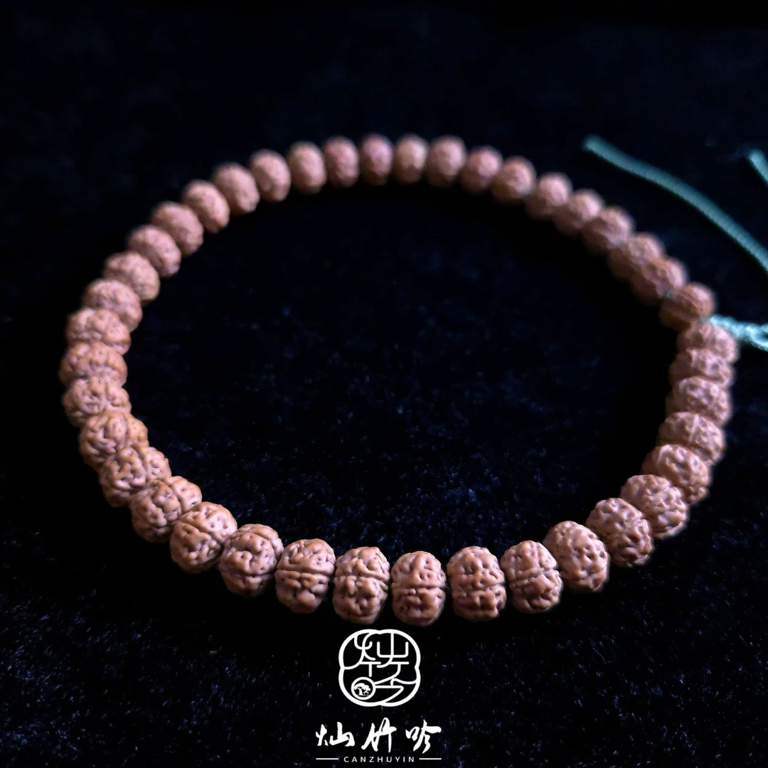 灿竹吟CANZHUYIN|勿里达纯血爆肉老树王（SS级）