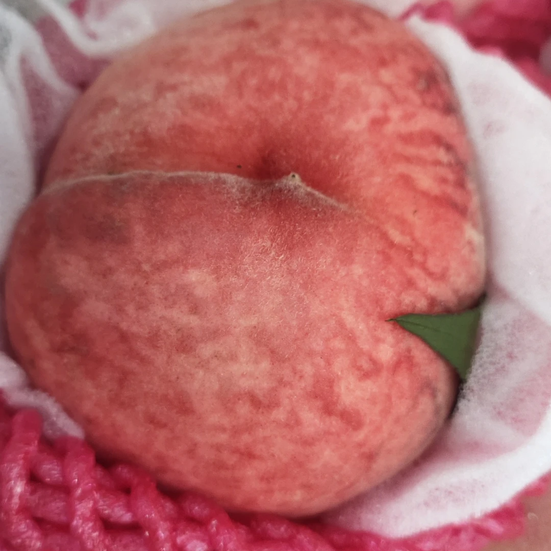 河北保定久保大桃放软水大更甜