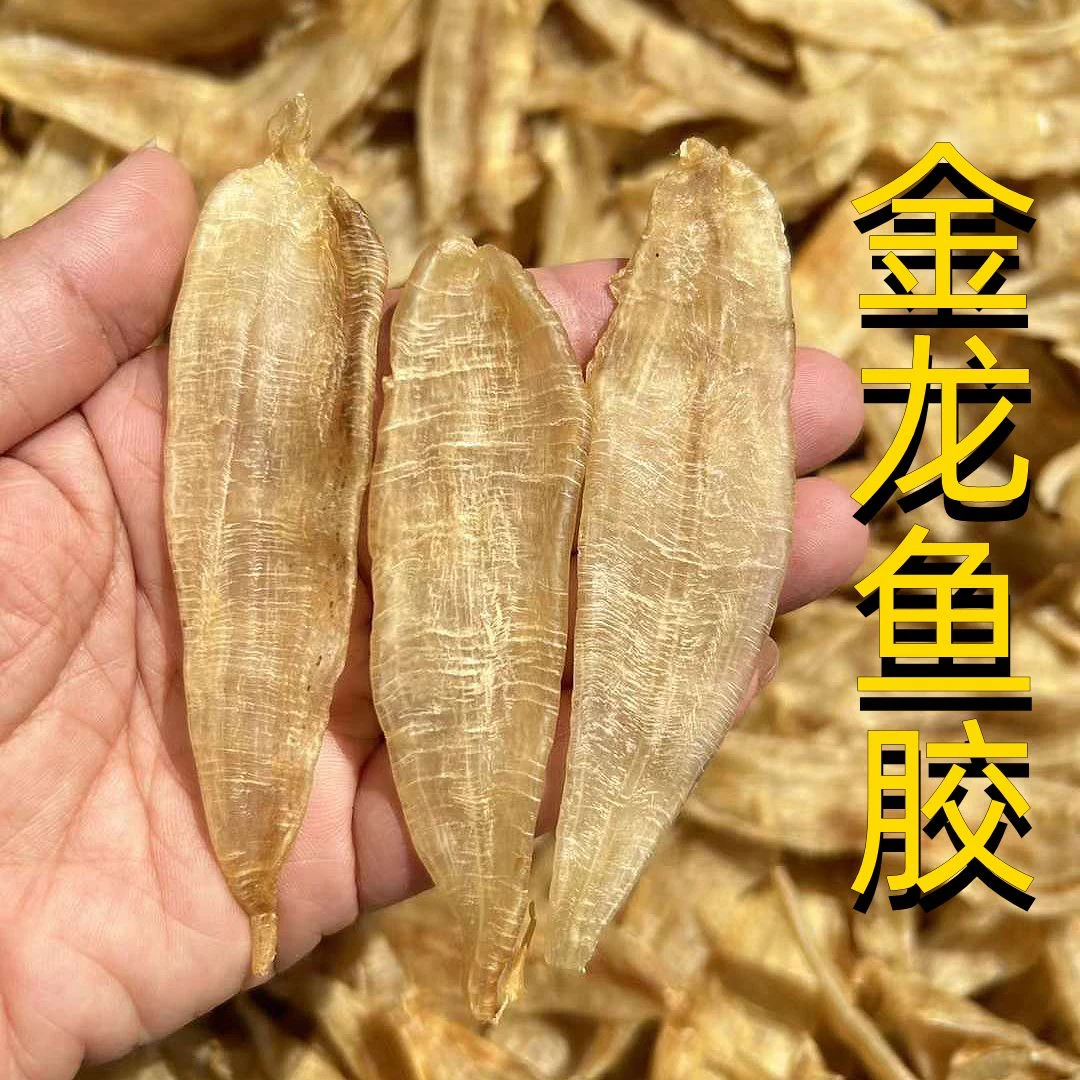 精选金龙鱼胶半斤