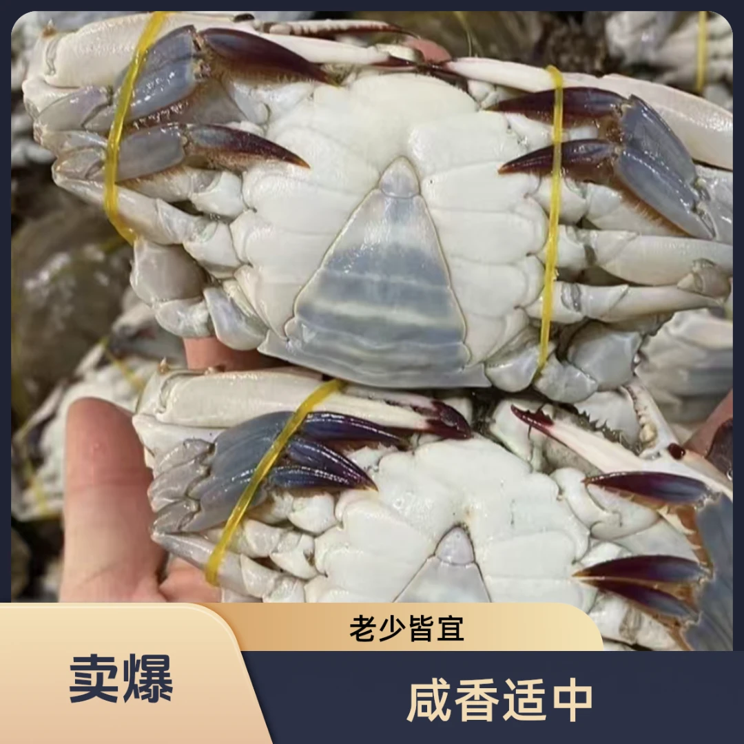 【冻蟹】寿光羊口咸蟹子三角梭子蟹纯母蟹2两左右一斤5-6只