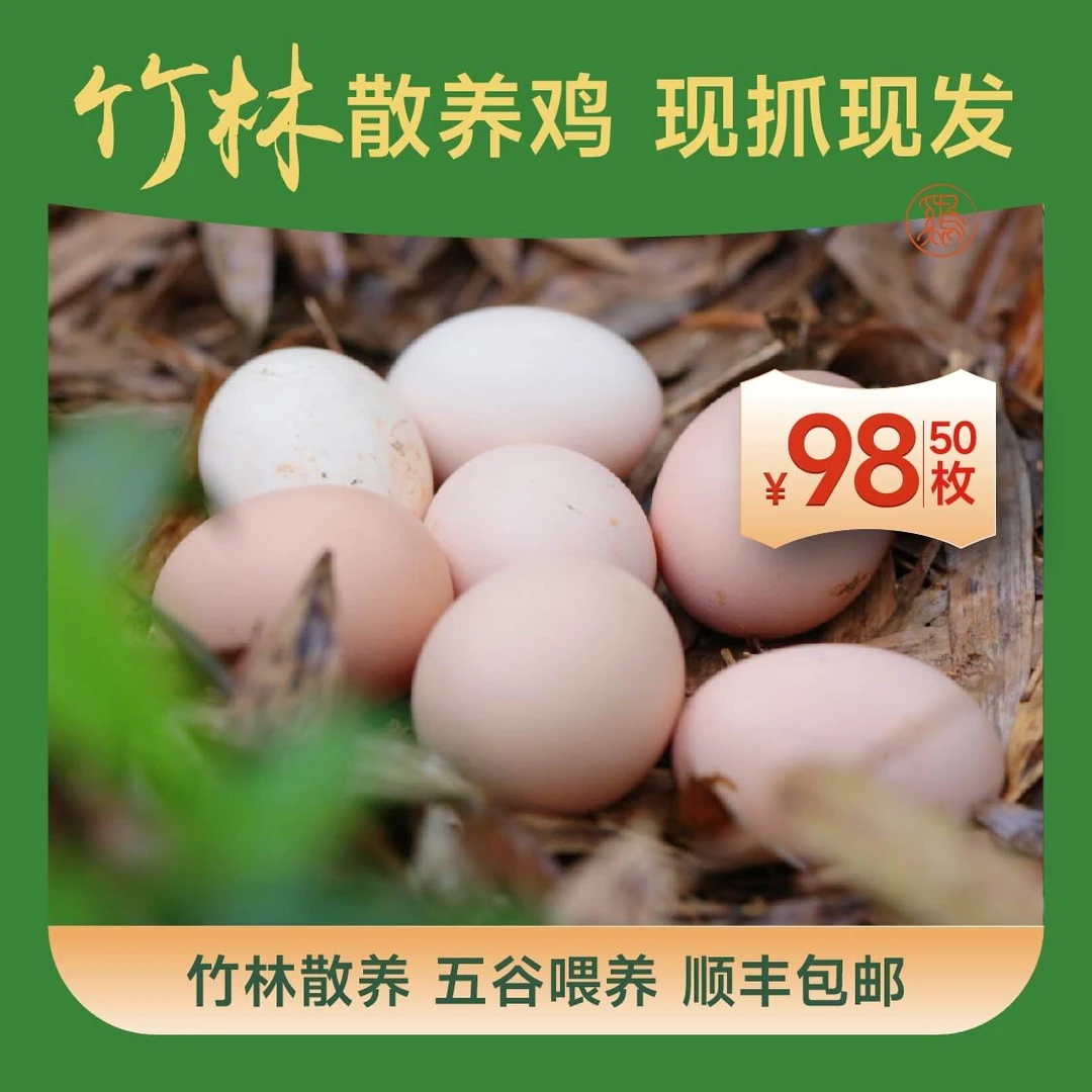 勇敢的鸟勇敢的鸟安吉竹林鸡五谷喂养土鸡蛋50枚（破损包赔/送笋）