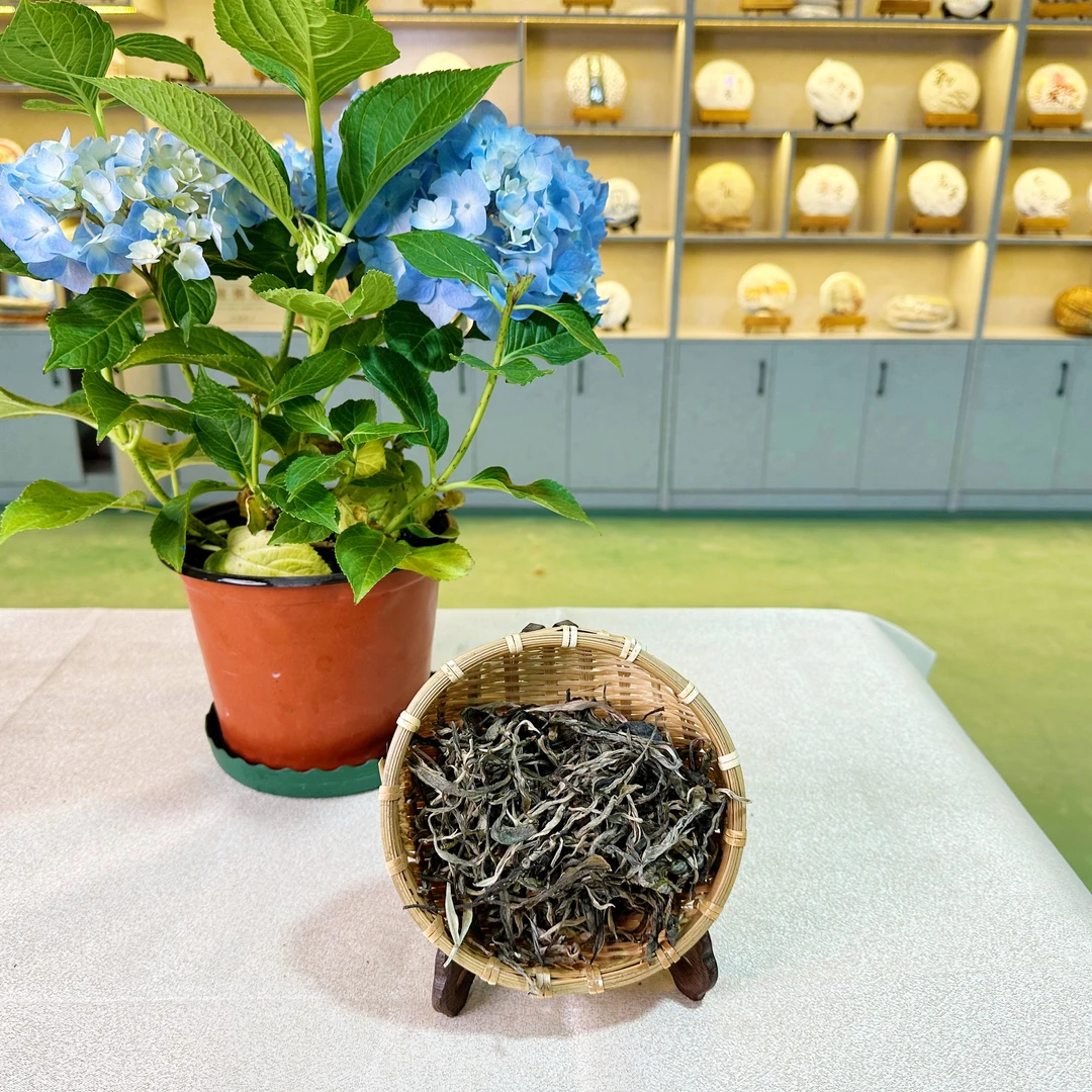 【巴达古树野茶】2021年普洱茶生茶通用（代替链接）