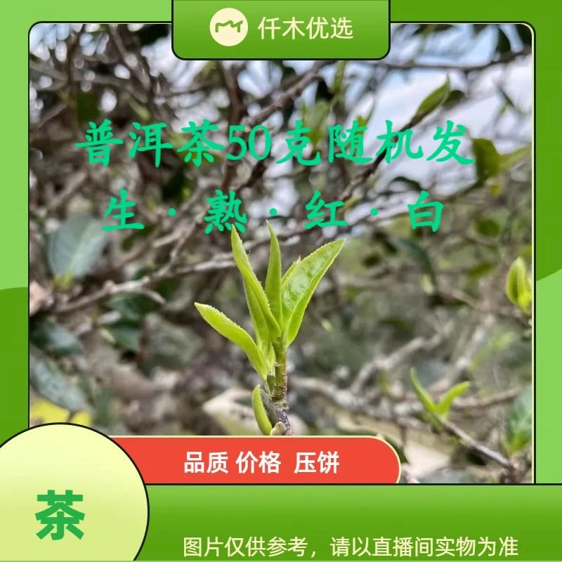 普洱茶生熟红白50克随机发