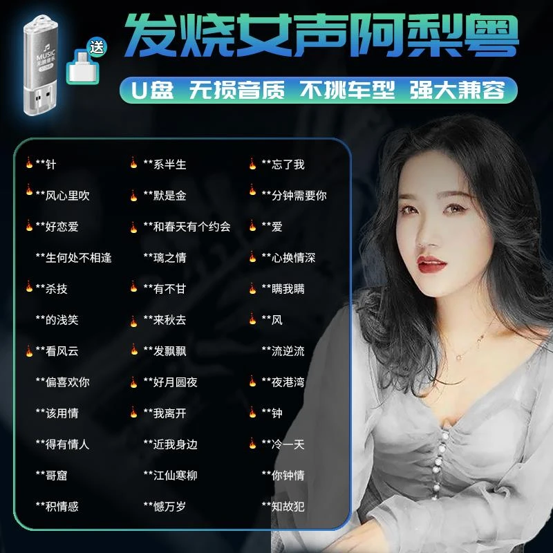 阿梨粤专辑车载音乐U盘汽车用U盘流行歌曲无失真高品质音乐U盘