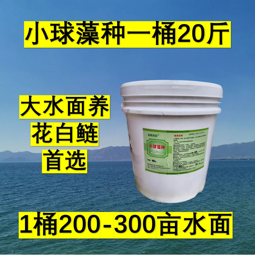 小球藻藻种大包装20斤