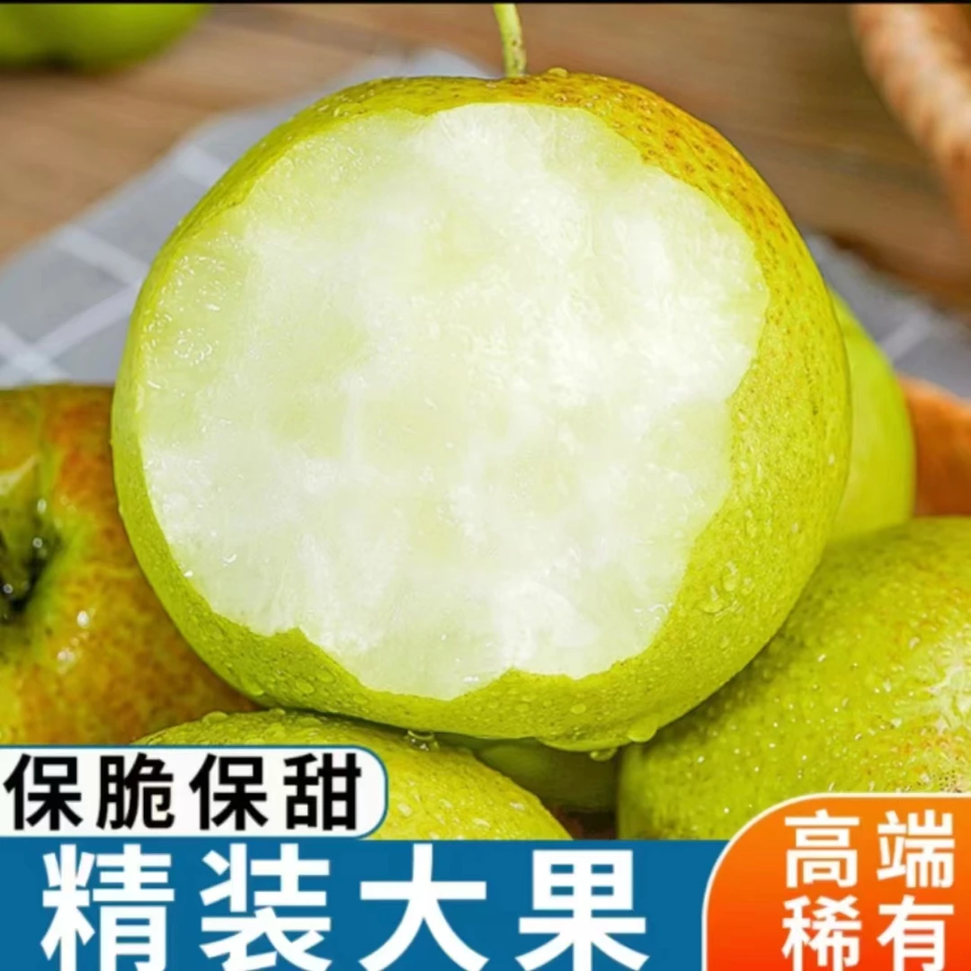 【榴榴专属】正宗山西玉露香梨新鲜果现摘现发皮薄肉多满口爆汁味美