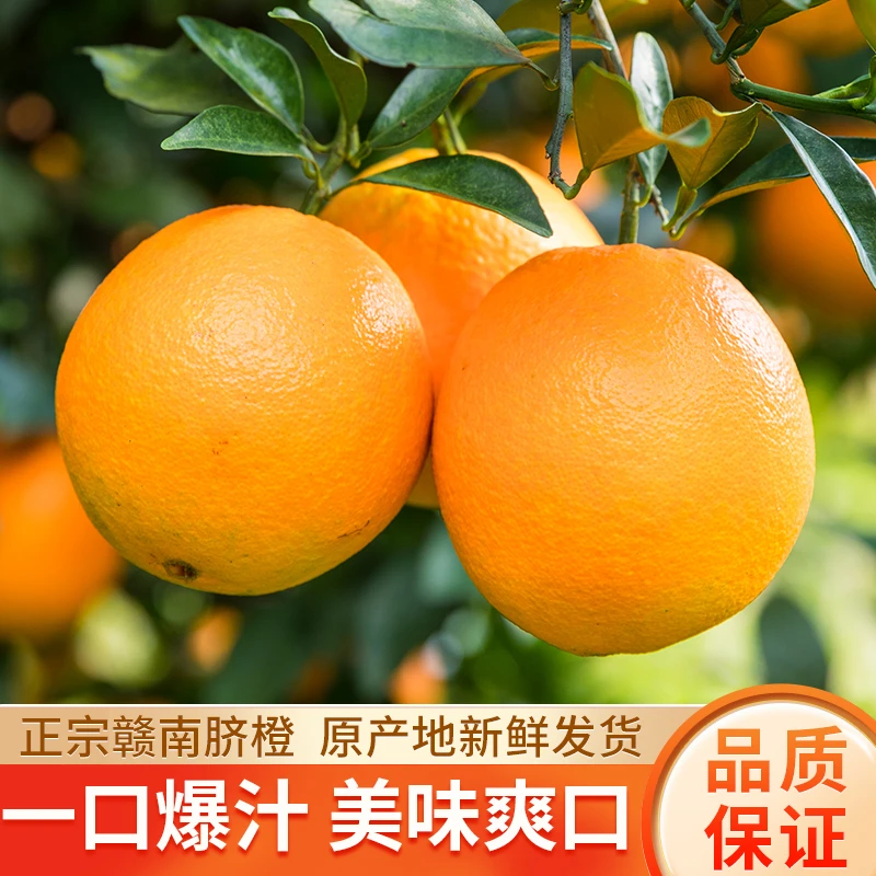 江西赣州橙子孕妇水果农家产品大果正宗赣南脐橙现摘新鲜原产地