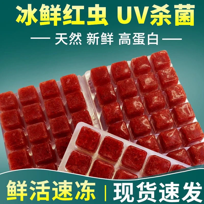 冰冻红虫鱼食丰年虾红线虫冷冻血线赤虫罗汉鱼金鱼热带鱼饲料新鲜
