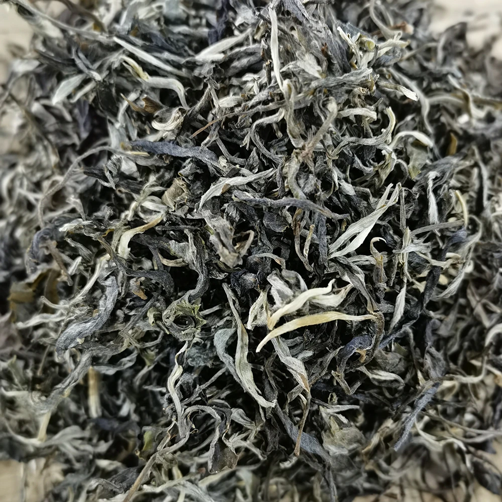 2025年猫猫山古树普洱茶生茶晒青茶500克/份袋生茶散茶