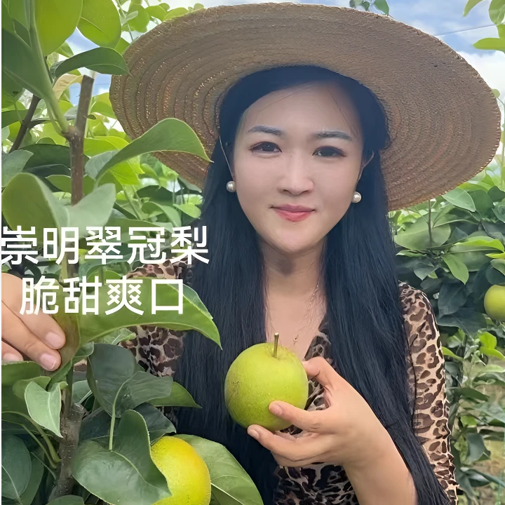 崇明岛 鲜果翠冠梨5斤/10斤装肉质细腻甘甜脆爽新鲜京东现发