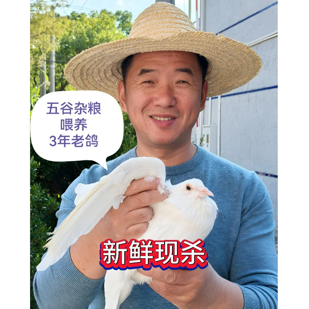 纯粮食喂养乳鸽2只装单只7两以上;  3年老鸽2只装单只8两以上现杀