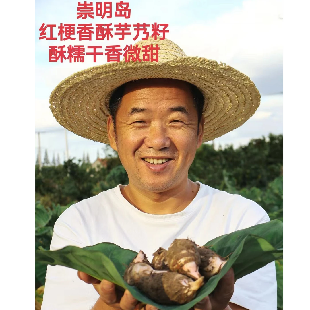 崇明岛红梗香酥芋艿籽2斤/5斤/10斤装酥糯；甘香；微甜每天新鲜现挖