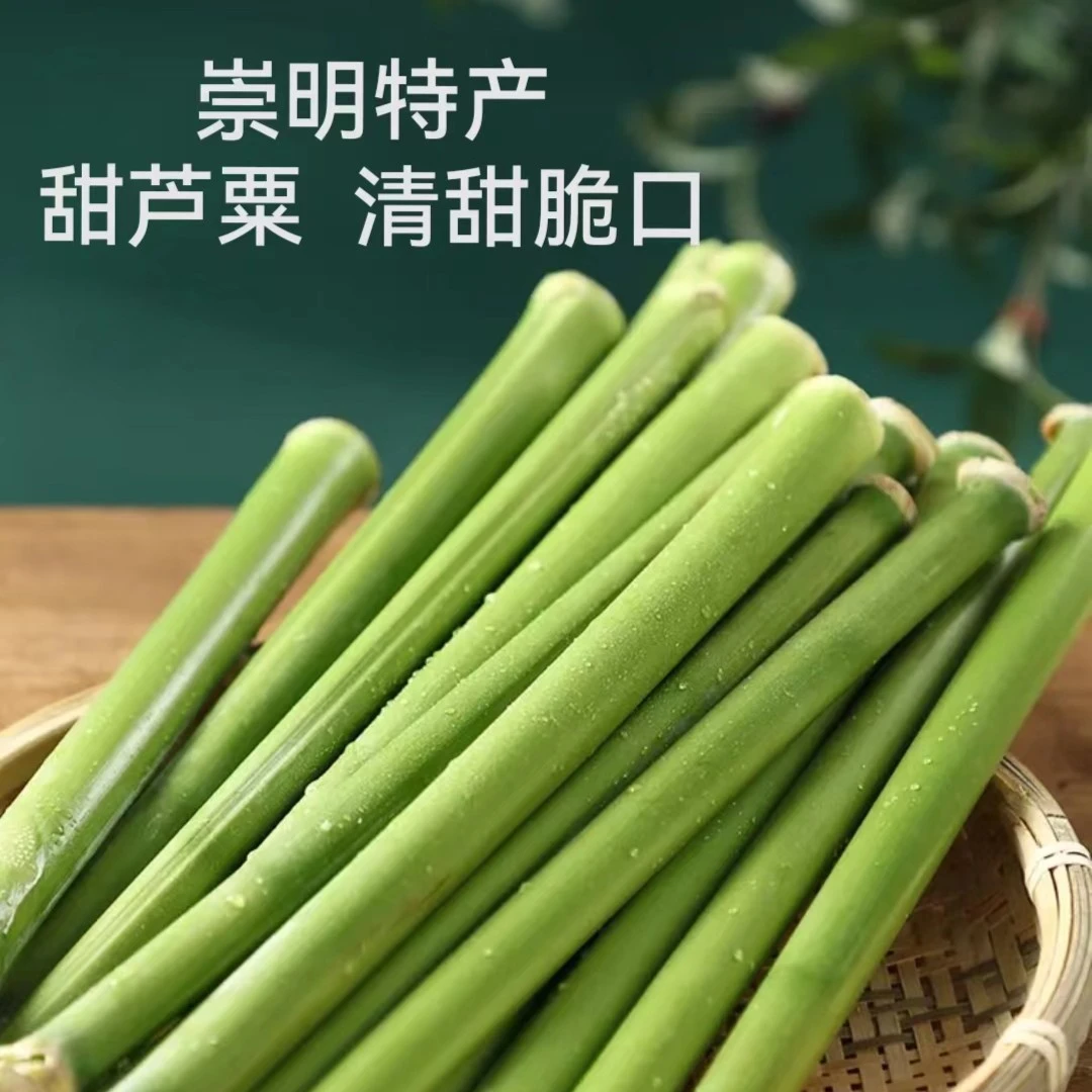 顺丰到家崇明岛特产甜芦粟（甜杆：芦穄10斤装冷藏松脆清甜现砍发货