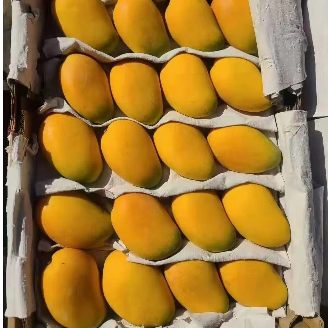 小台芒17元一份，约1000克