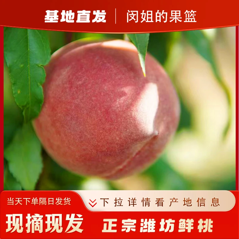 青州蜜桃甜桃脆桃脆甜基地直发当季水果桃子山泉蜜桃蜜桃王皮薄