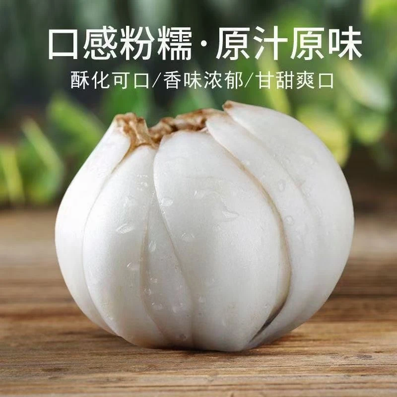 兰州优质食用甜百合(顺丰包邮)三头皇一斤装一袋三颗一斤三袋