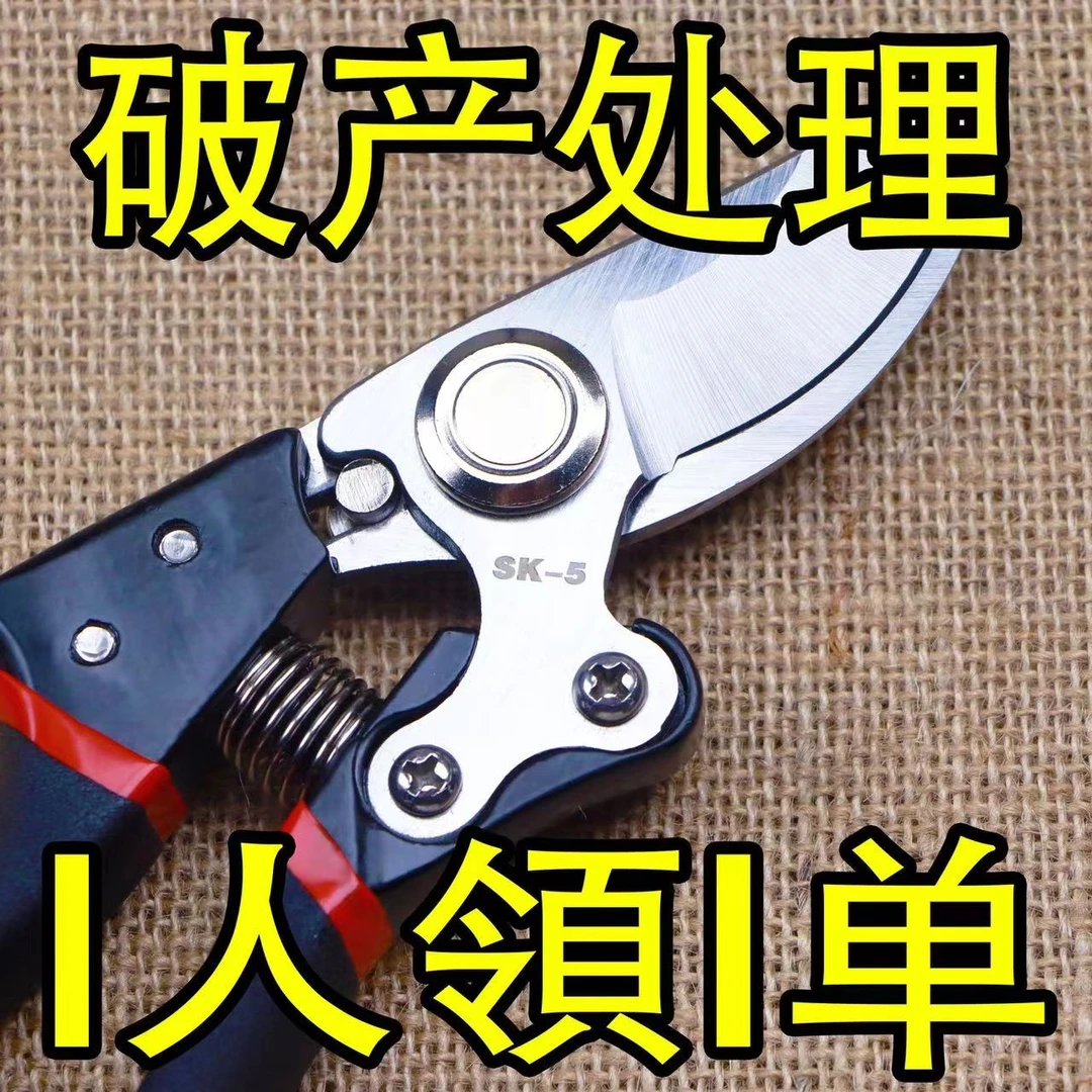 园艺修枝工具不锈钢园艺剪园艺剪刀强力修枝剪修剪树枝剪刀修枝剪