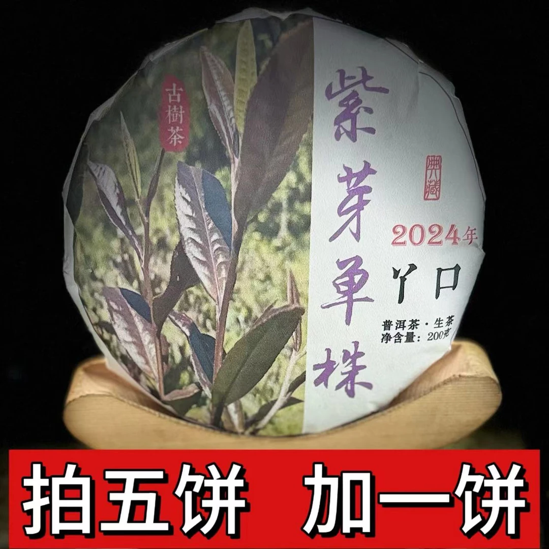 【归源】290周天天2024年丫口紫芽单株200克饼茶11-10.6【拍5得6】
