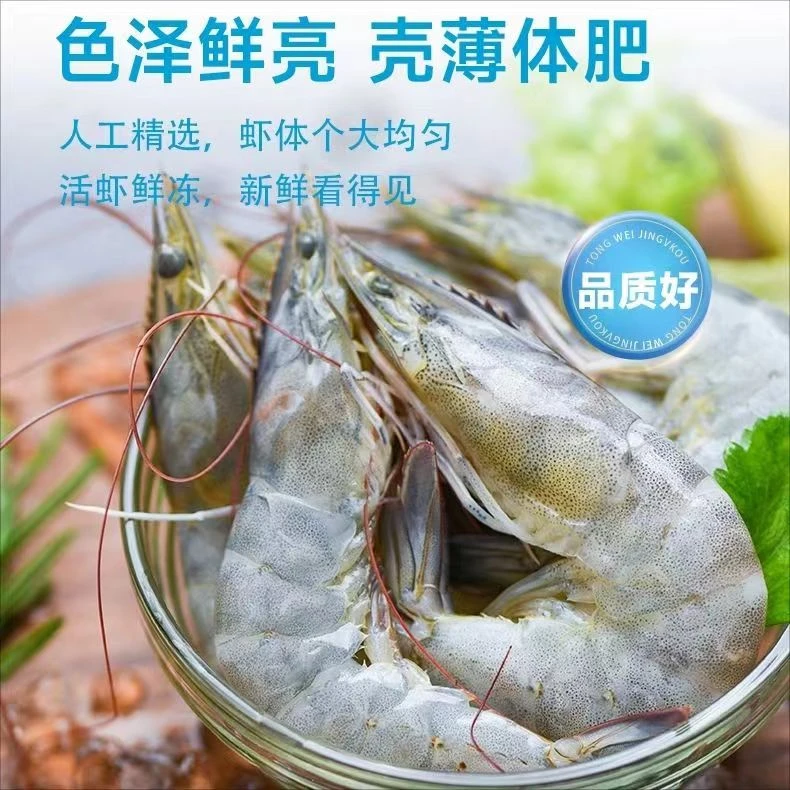 通威生虾40-50鲜活盐冻海虾1500g/盒（新品）