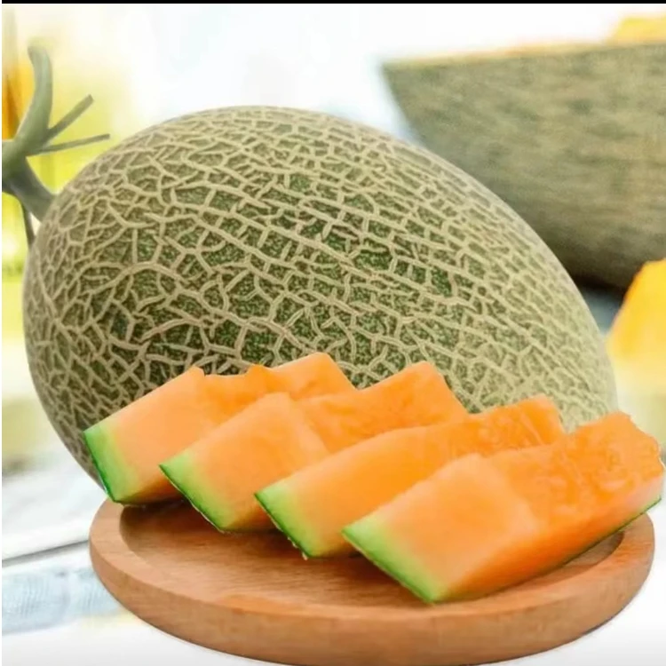 晓蜜瓜1个4斤（±100g）