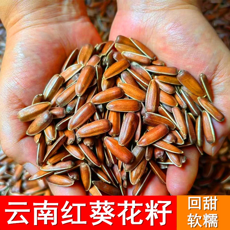 云南特产红皮瓜子生葵花籽原味回甜软糯散装新货休闲零食水果瓜子
