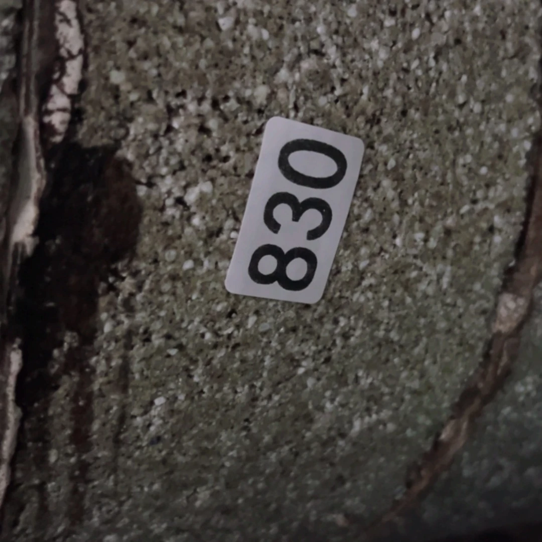 【闪购商品】玻璃茶盏月*830