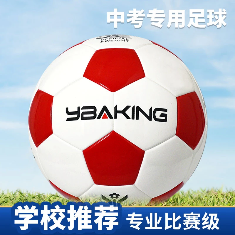 足球生日礼物男孩正品成人小学生专用比赛儿童专业训练5号球欧冠4