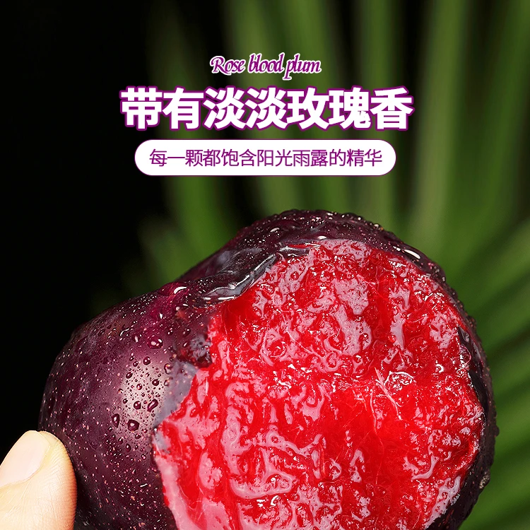 玫瑰血丝李子新鲜水果红心果肉脱骨李孕妇李子黑布林夏日尝鲜多汁