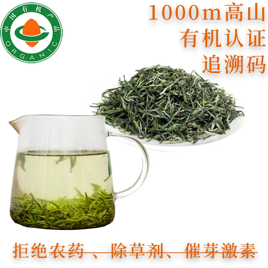 2023新茶春茶头芽特级绿茶高山茶有机茶毛尖花香型青绿茶厂家直销