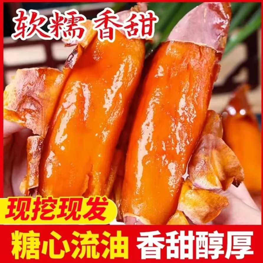 田地青年正宗沙土西瓜红糖心蜜薯西瓜红薯现挖地瓜山芋烤红薯