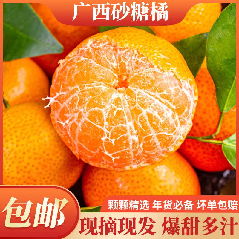 黄金树上黄金果,沙糖桔里沙糖甜。