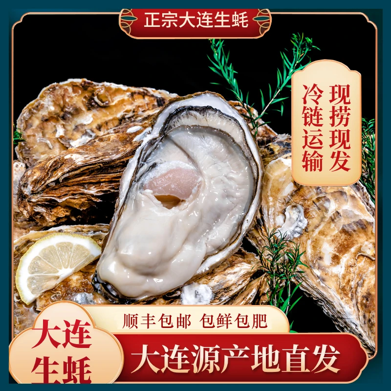 正宗大连冷水生蚝海洋牧场刺身特大生蚝海鲜7斤非牡蛎生鲜