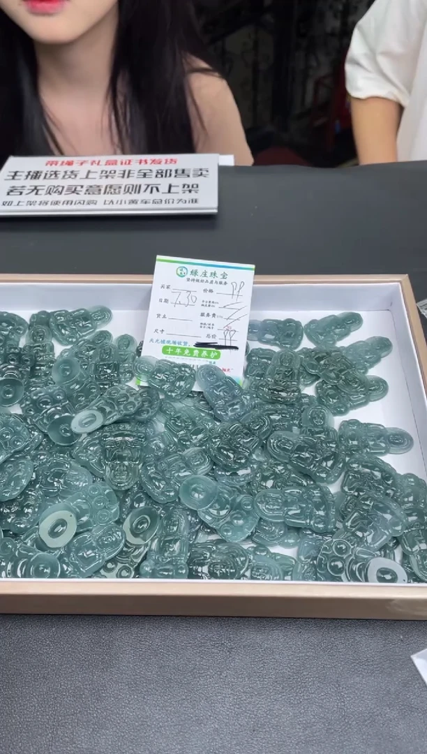 【闪购商品】翡翠颈饰未镶嵌-00298356-多样性发其一