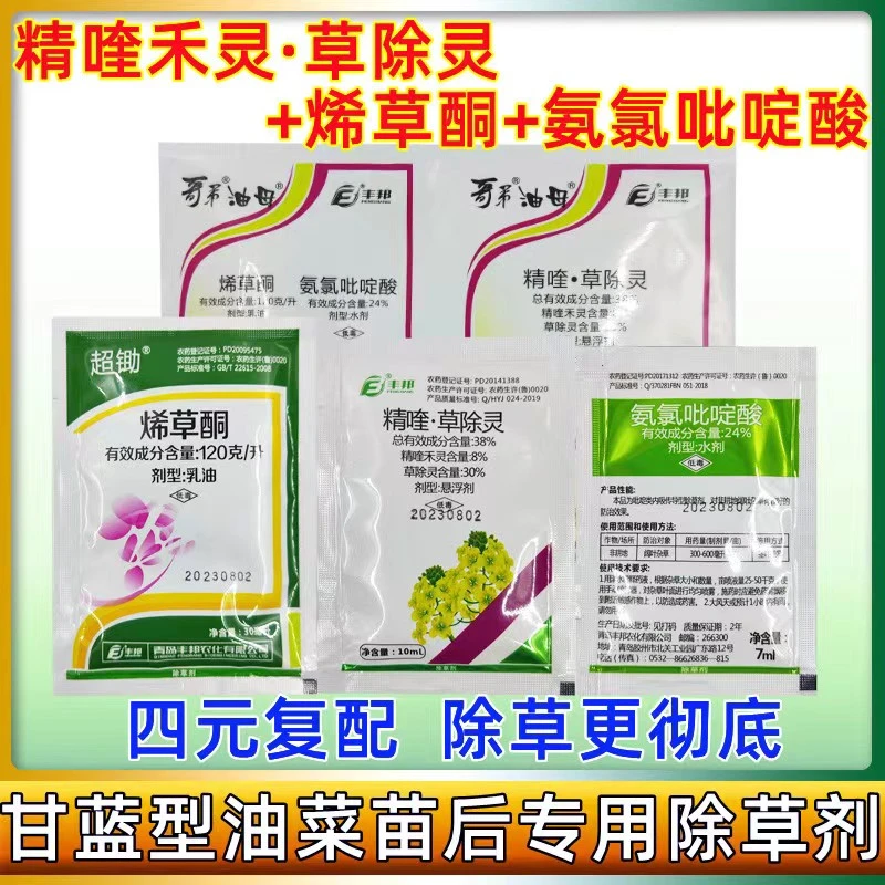 油菜除草剂 烯草酮草除灵氨氯吡啶酸 甘蓝型 苗后 青岛现代施来乐
