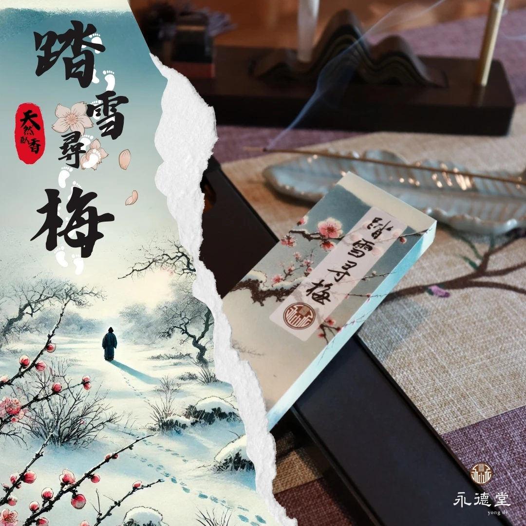 沉香踏雪寻梅线香熏香花香卧室内持久家用净化空气古法香薰