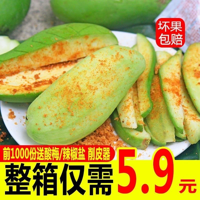 现摘酸芒果大果生芒果酸脆爽口广西酸嘢孕妇水果新鲜海南象牙芒果