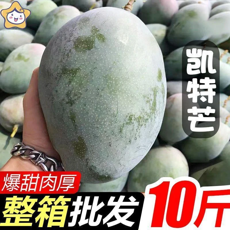 匀发攀枝花凯特芒果大芒果1/5/10斤装整箱包邮非金煌芒大青芒1g