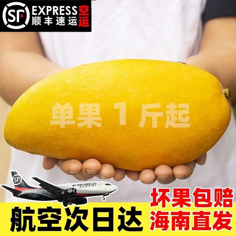 顺丰空运海南金煌芒新鲜10斤特大芒果水仙芒大果当季水果礼盒青芒