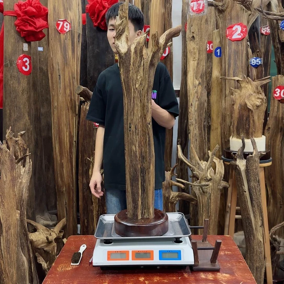 沉香摆件沉香原料摆件