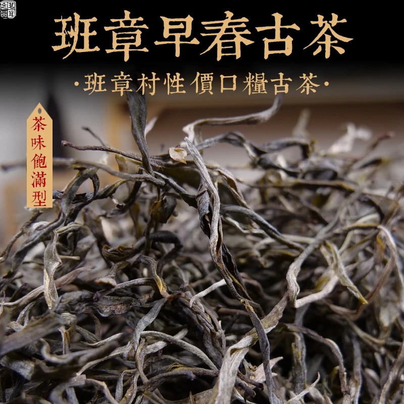 2024年春茶 班章早春古树散茶 云南茶古树茶散茶散装 性价茶