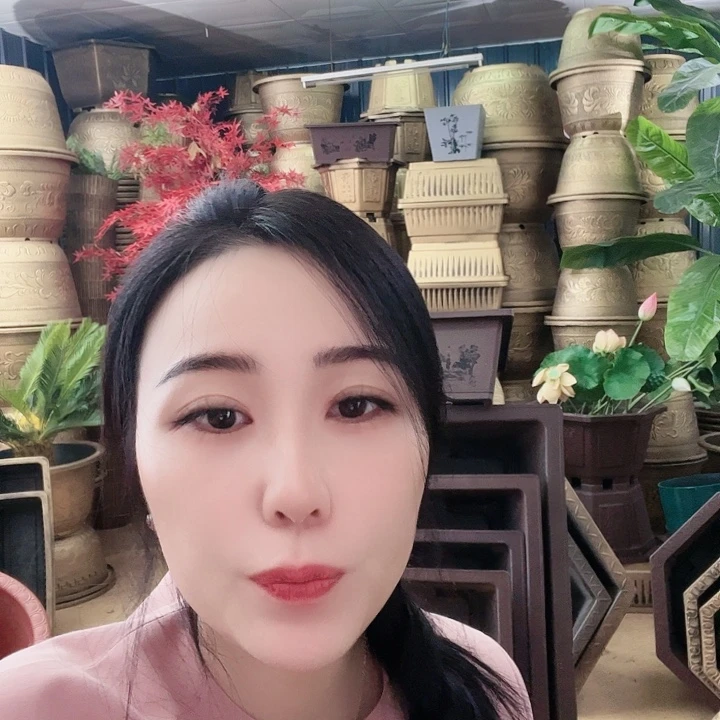 红陶20CM（含）-50CM（不含）杨****好