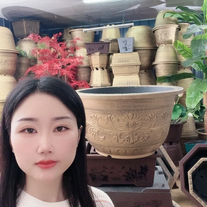 红陶20CM（含）-50CM（不含）