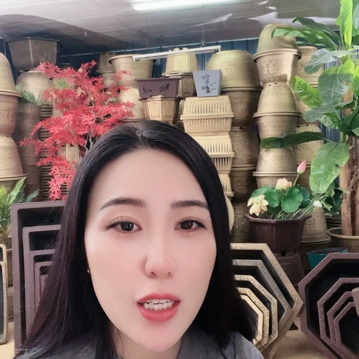 红陶20CM（含）-50CM（不含）无**雨