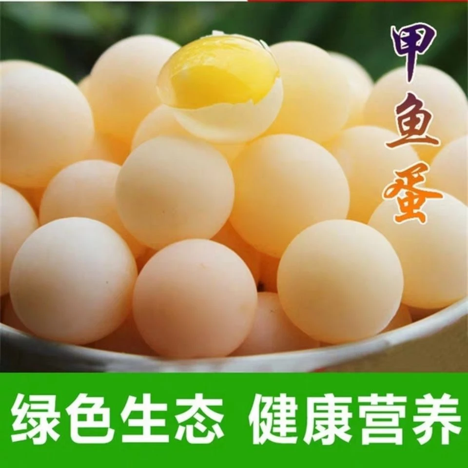【小老弟精选】生态农场农家甲鱼蛋宝宝辅食新鲜可食用蛋