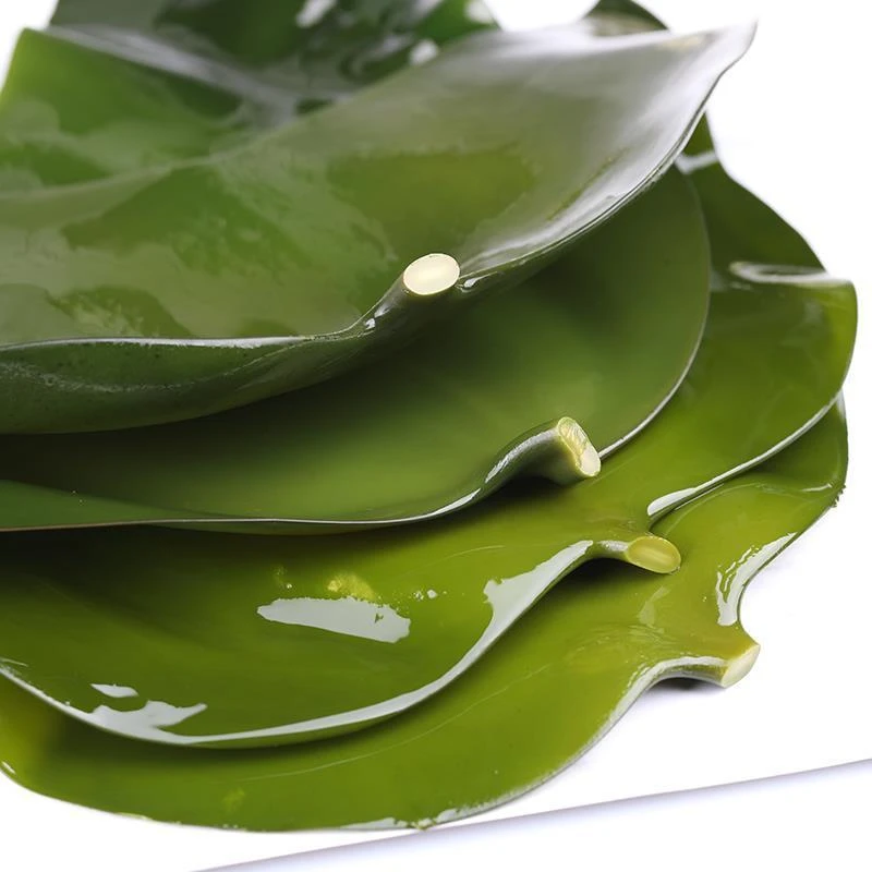 新鲜大片盐渍海带头特厚鲜嫩营养美味凉拌炖汤批发产品1000g精选