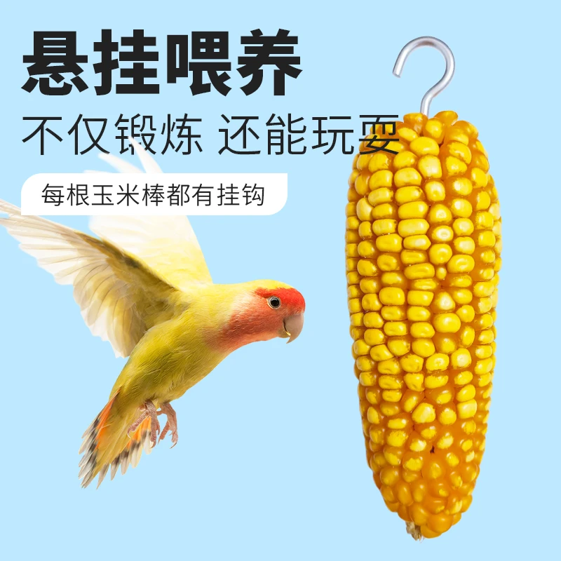 玄凤牡丹鹦鹉小零食玉米棒啃咬训练奖励磨牙棒玩具磨嘴磨喙鸟用品