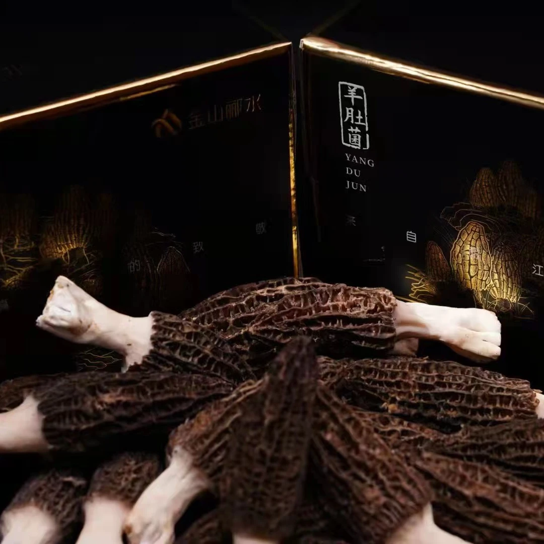 2025精选优质新鲜羊肚菌高原仿野生种植羊肚菌顺丰包邮250g