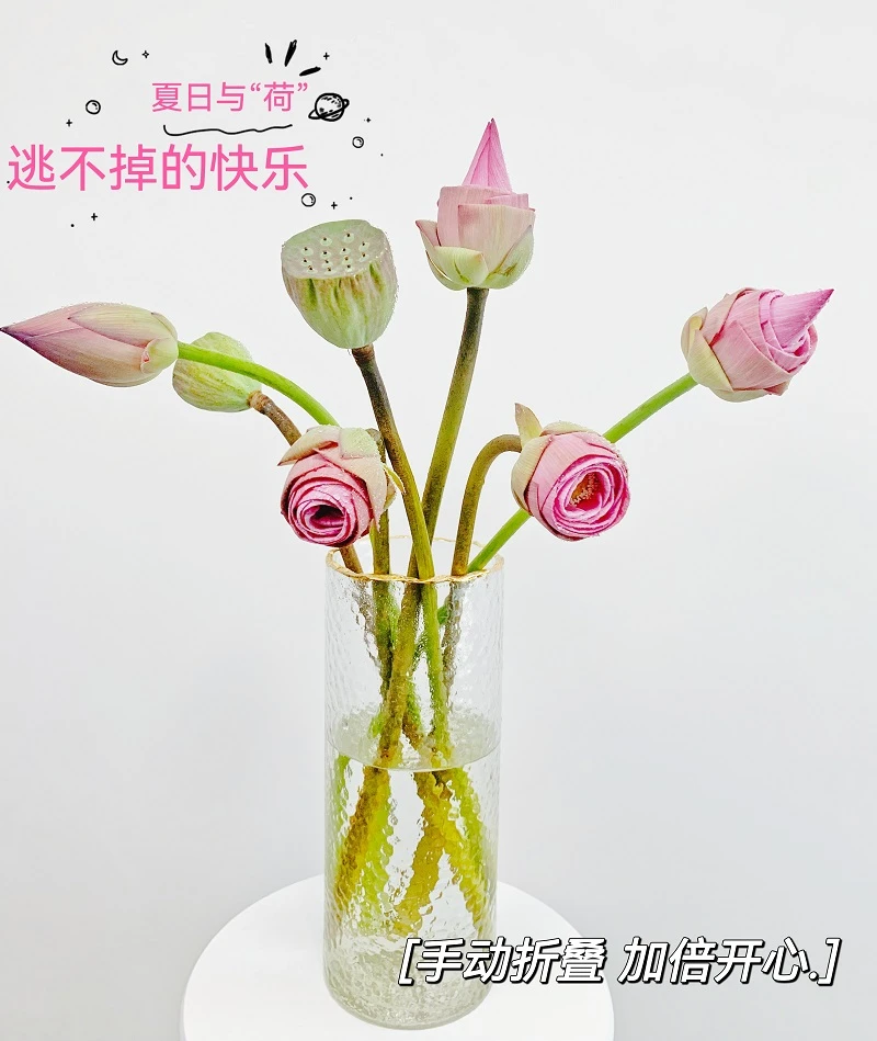 【现货】新鲜荷花莲花带杆子插花瓶切花基地直发家庭插花水养莲蓬